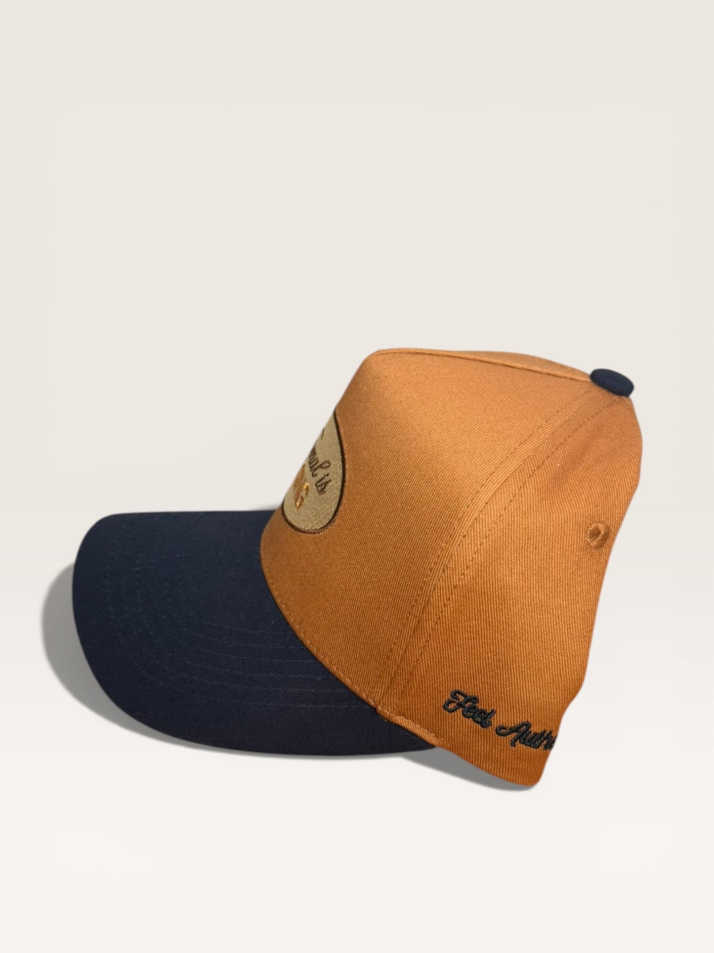 Normal is boring snapback/ Blue navy & mustard